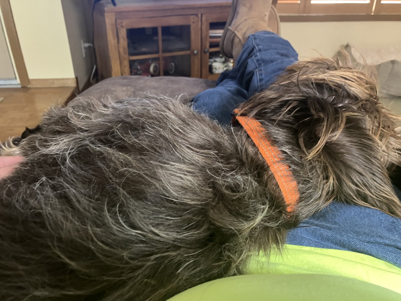 IMG_4087.jpeg