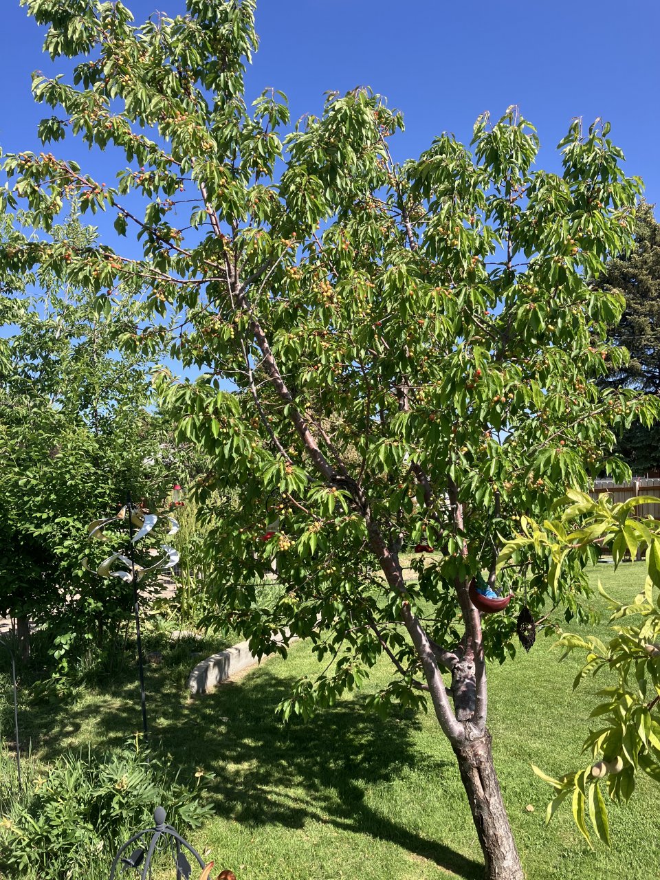IMG_4173.jpeg
