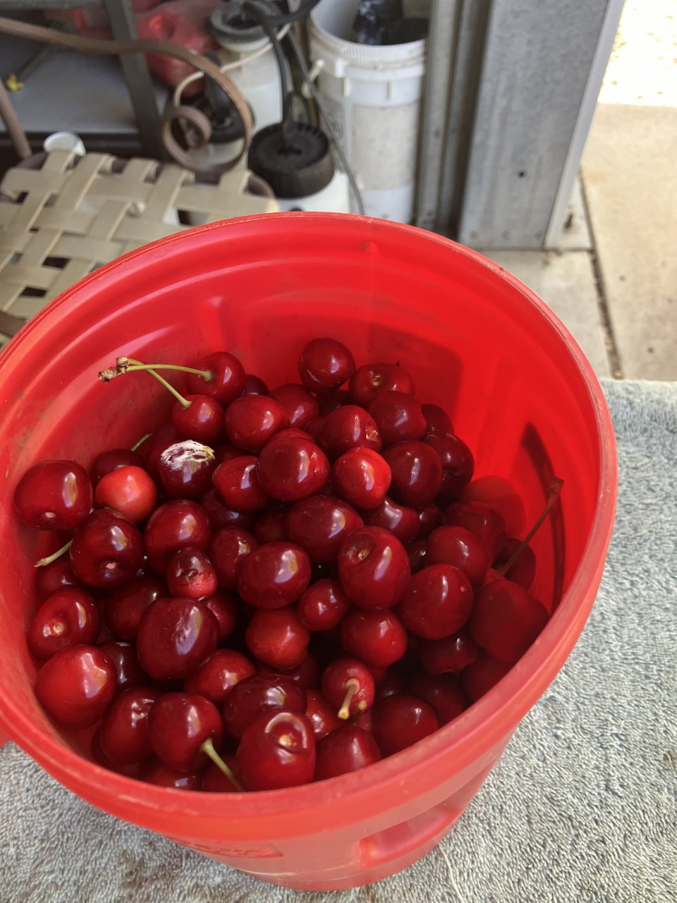 IMG_4232.jpeg