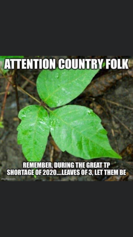 IMG_4376.png