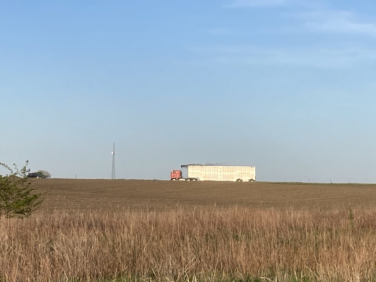 IMG_5101.jpeg