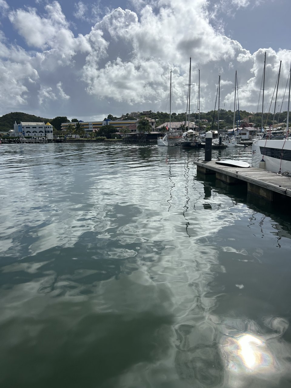 IMG_5394.jpeg