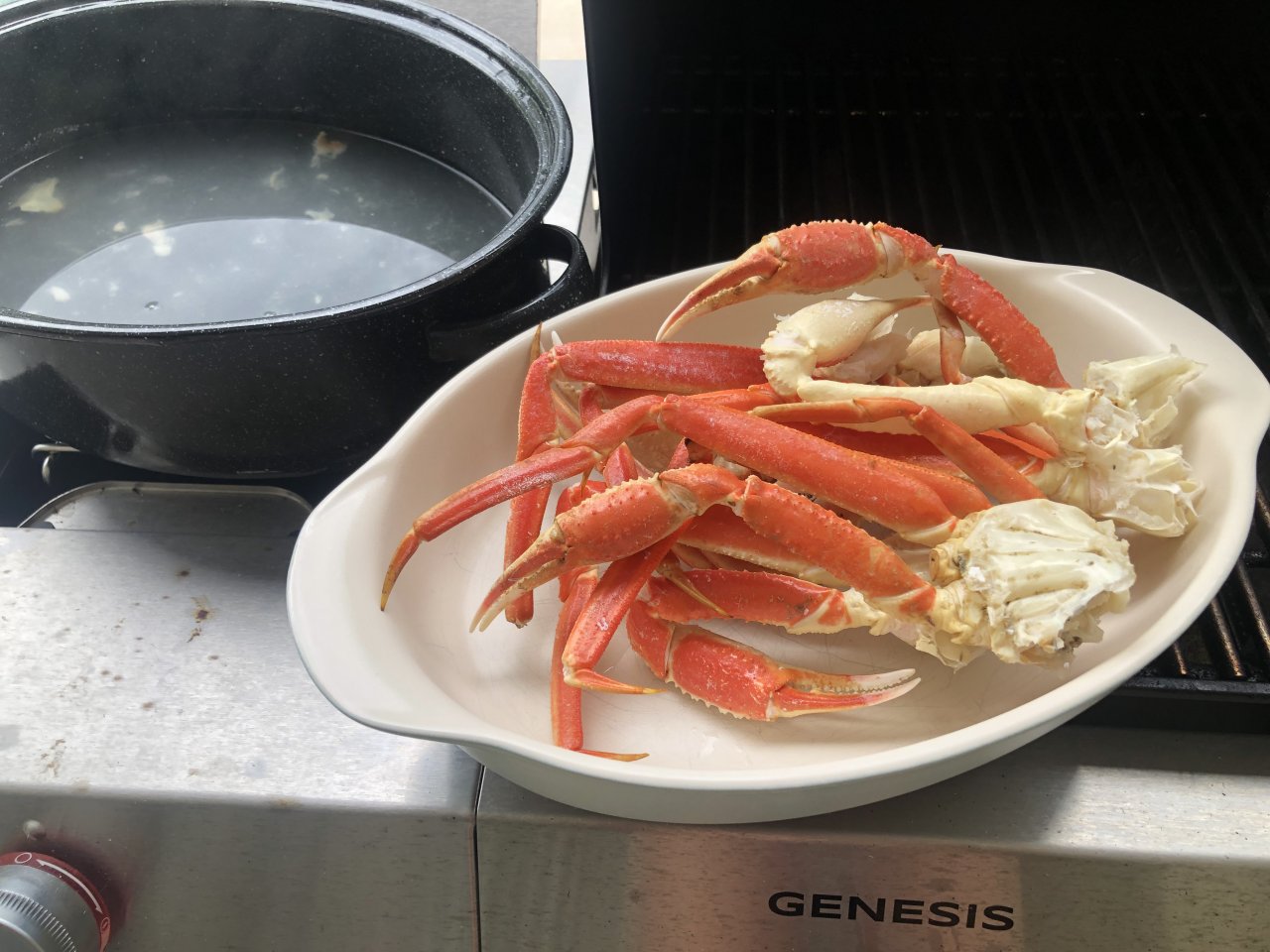IMG_5470.jpeg