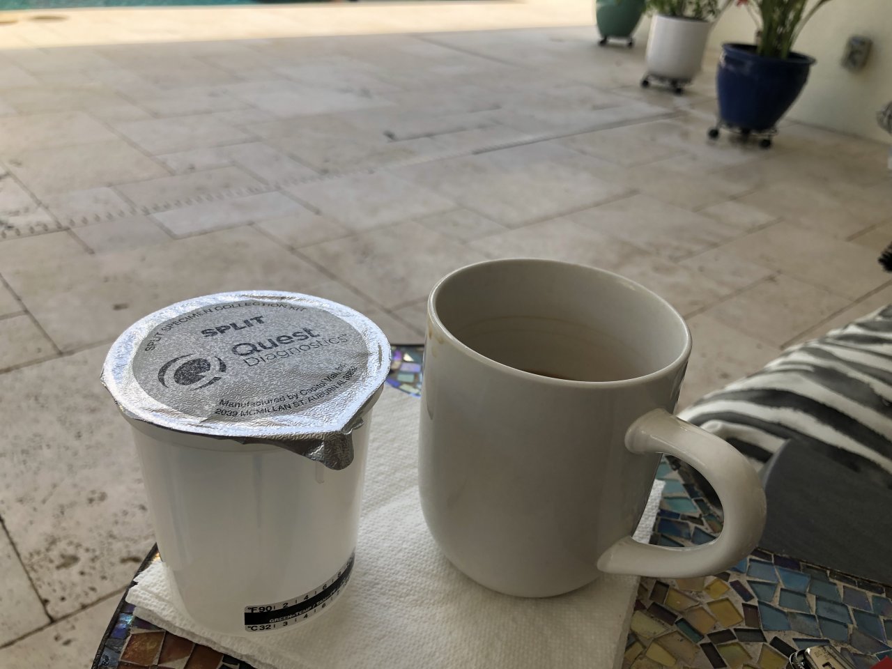 IMG_5483.jpeg