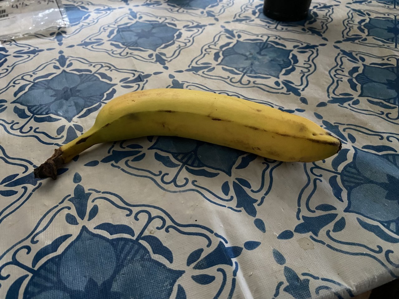 IMG_5503.jpeg