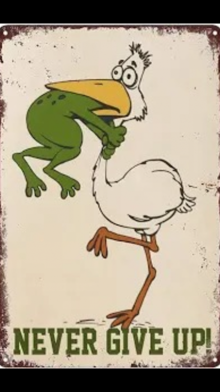IMG_6381.png
