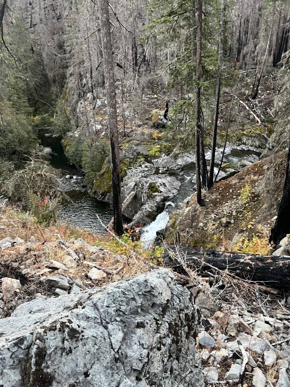 IMG_6866.jpeg