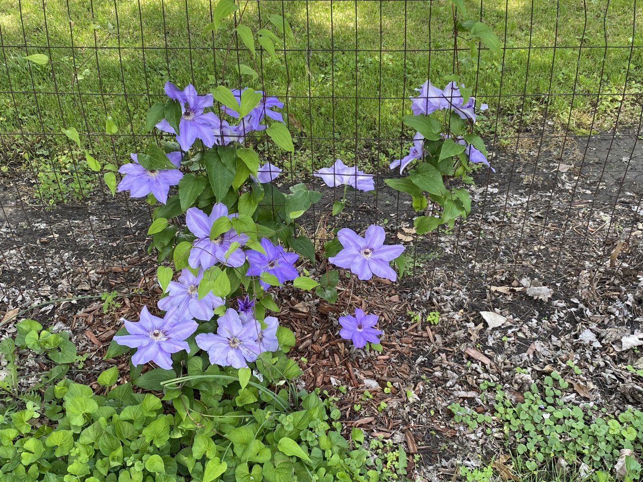 IMG_6977.jpeg