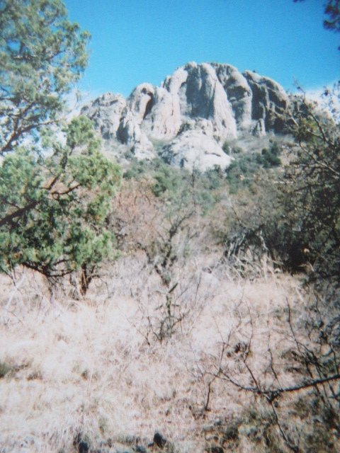 IMG_6994.JPG