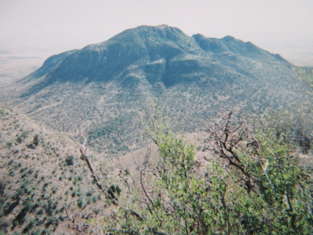 IMG_7002.JPG