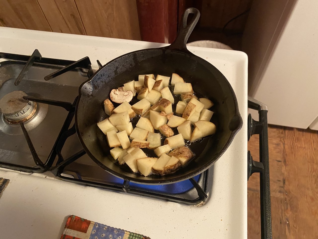 IMG_7011.jpeg