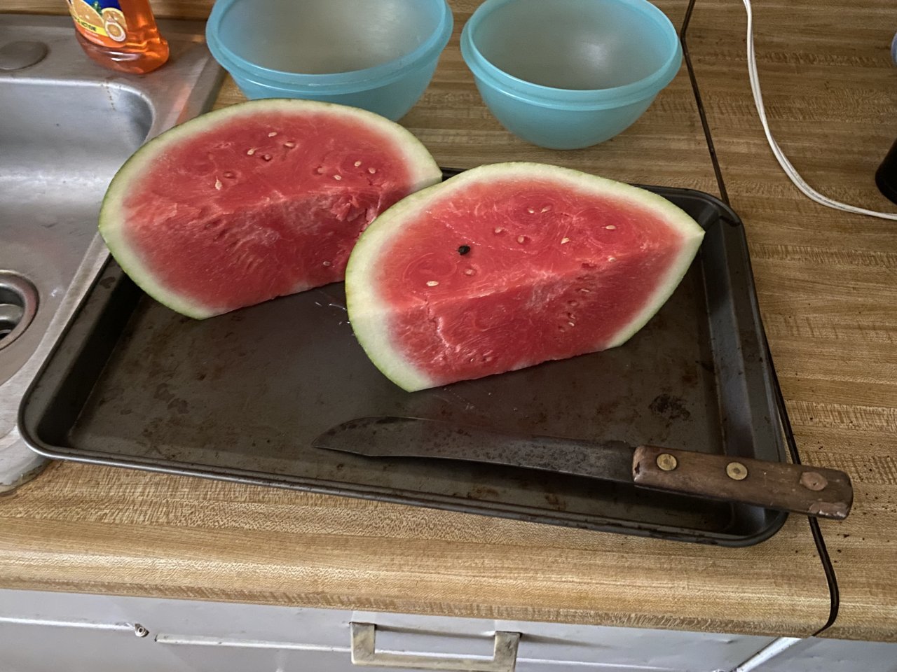 IMG_7033.jpeg