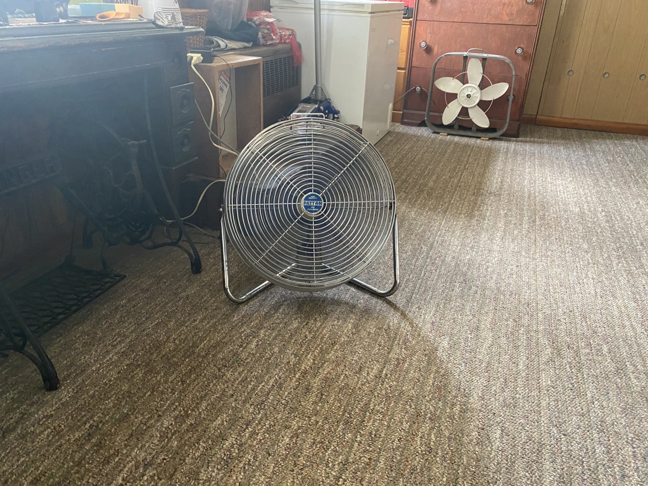 IMG_7136.jpeg
