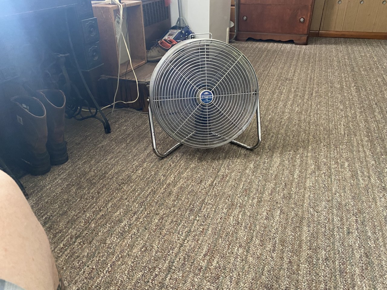 IMG_7225.jpeg