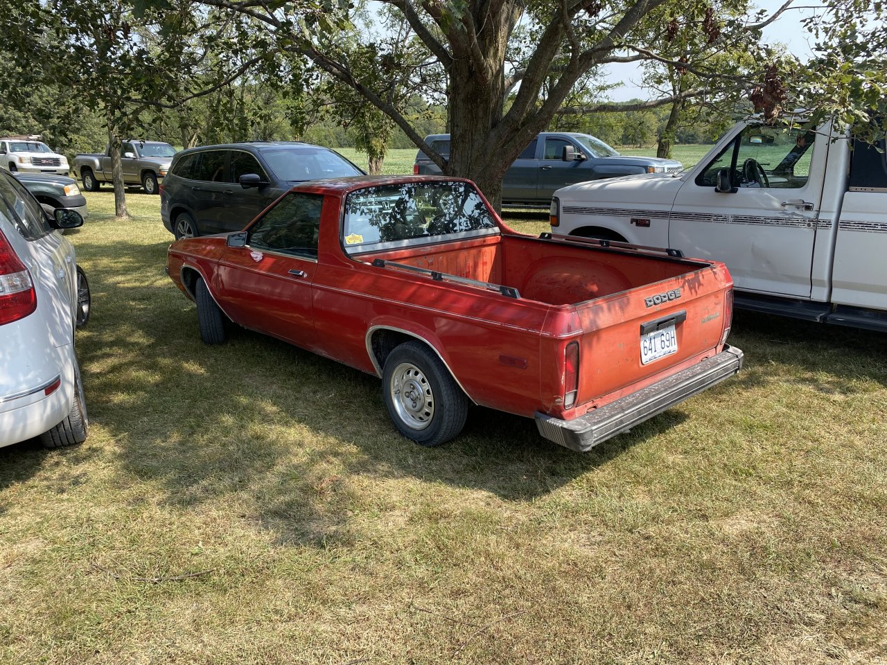 IMG_8042.jpeg