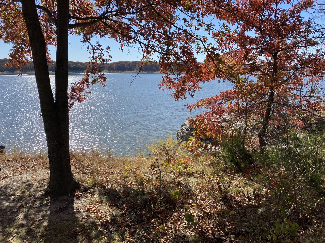 IMG_8428.jpeg