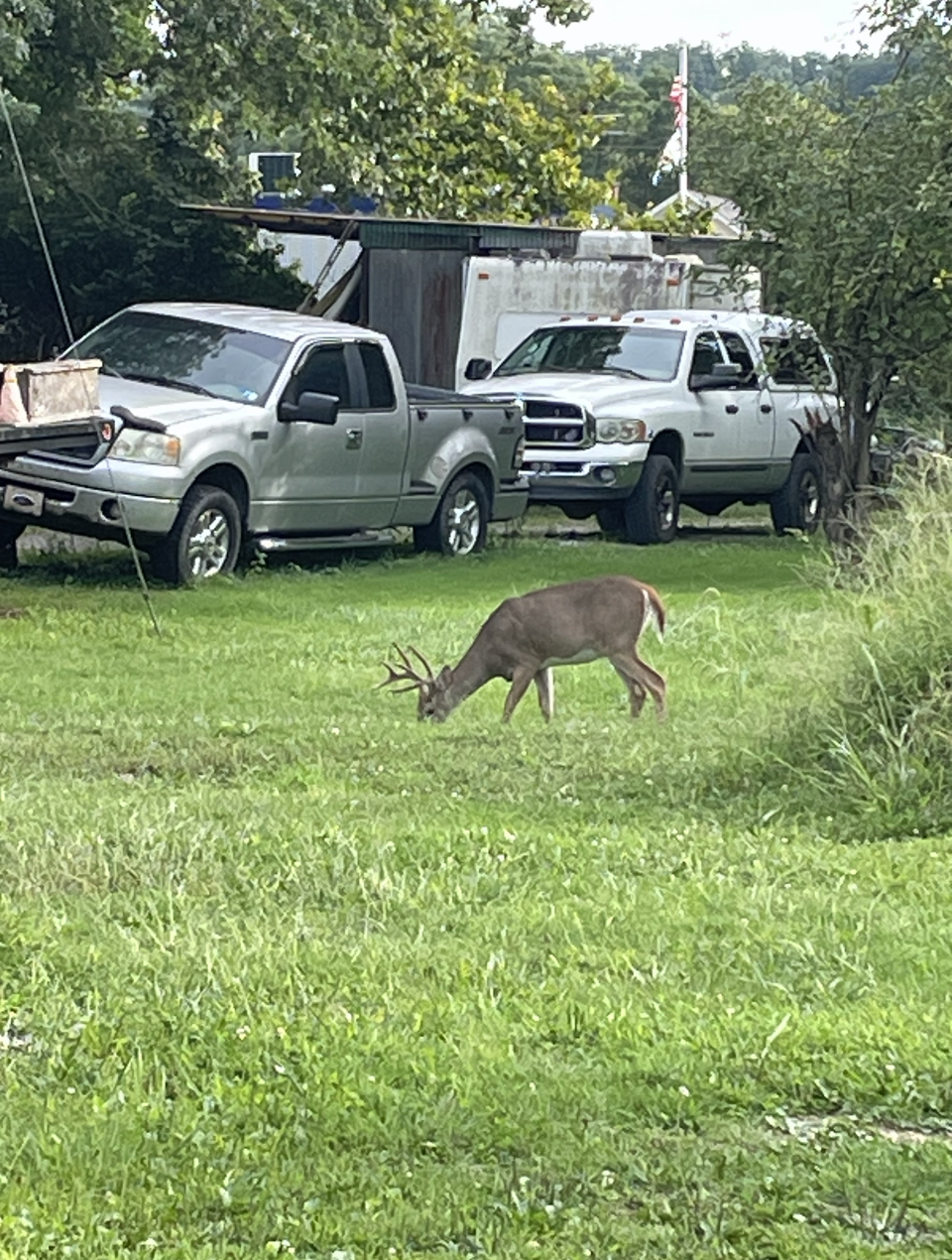 IMG_9590.jpeg