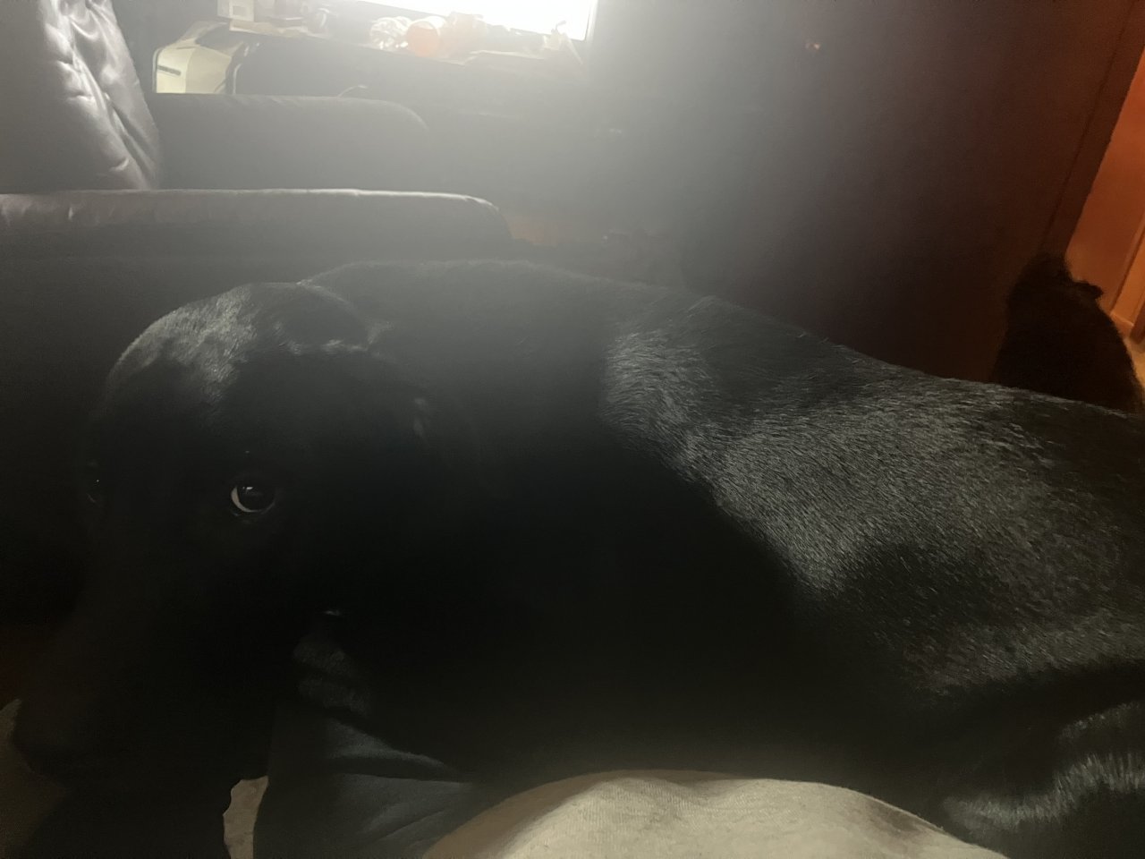 IMG_9724.jpeg