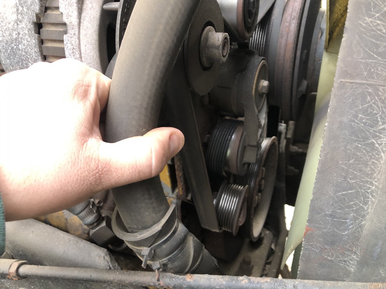 IMG_9738.jpeg