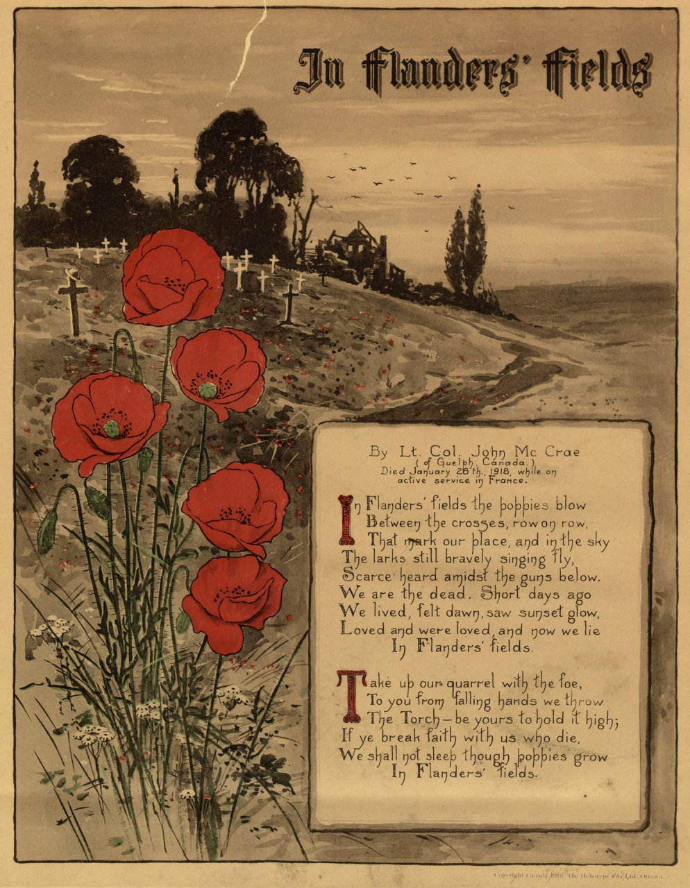 In_Flanders_Fields_22208455104.jpg