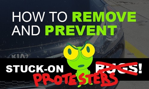 Inkedhow-to-remove-and-prevent-stuck-on-bugs-from-car (1)_LI.jpg