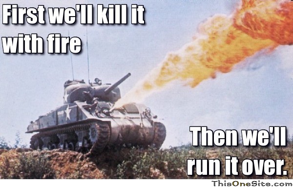 KILL IT WITH  FIRE.jpg
