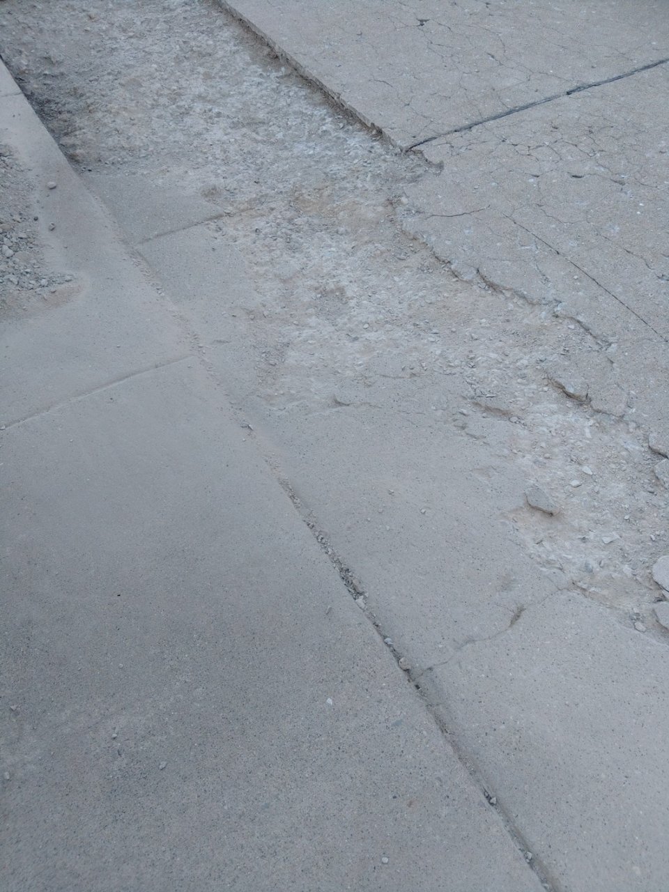 KIMG0086_tn.jpg