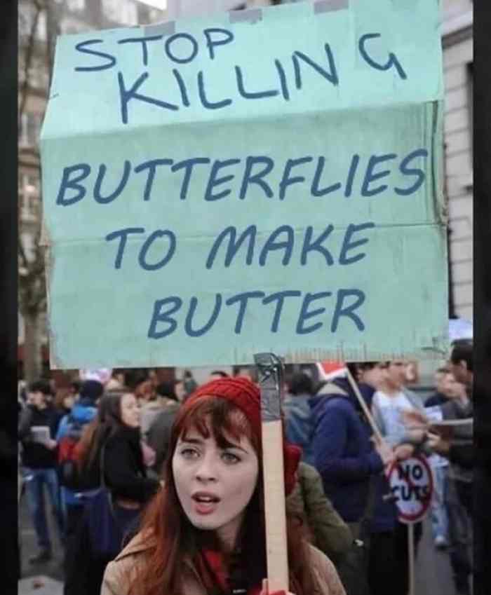 l-34583-stop-killing-butterflies-to-make-butter.jpg
