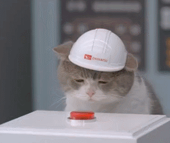 LiveLeak-dot-com-1594816352535_1594829021.gif