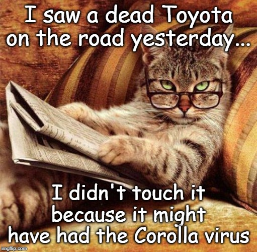 LiveLeak-dot-com-corolla_1583962959.jpg