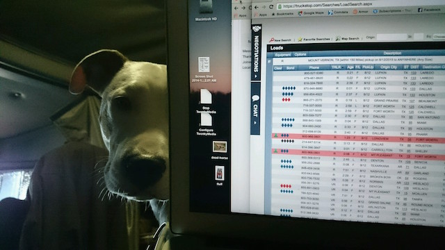 lucy-rates.jpeg