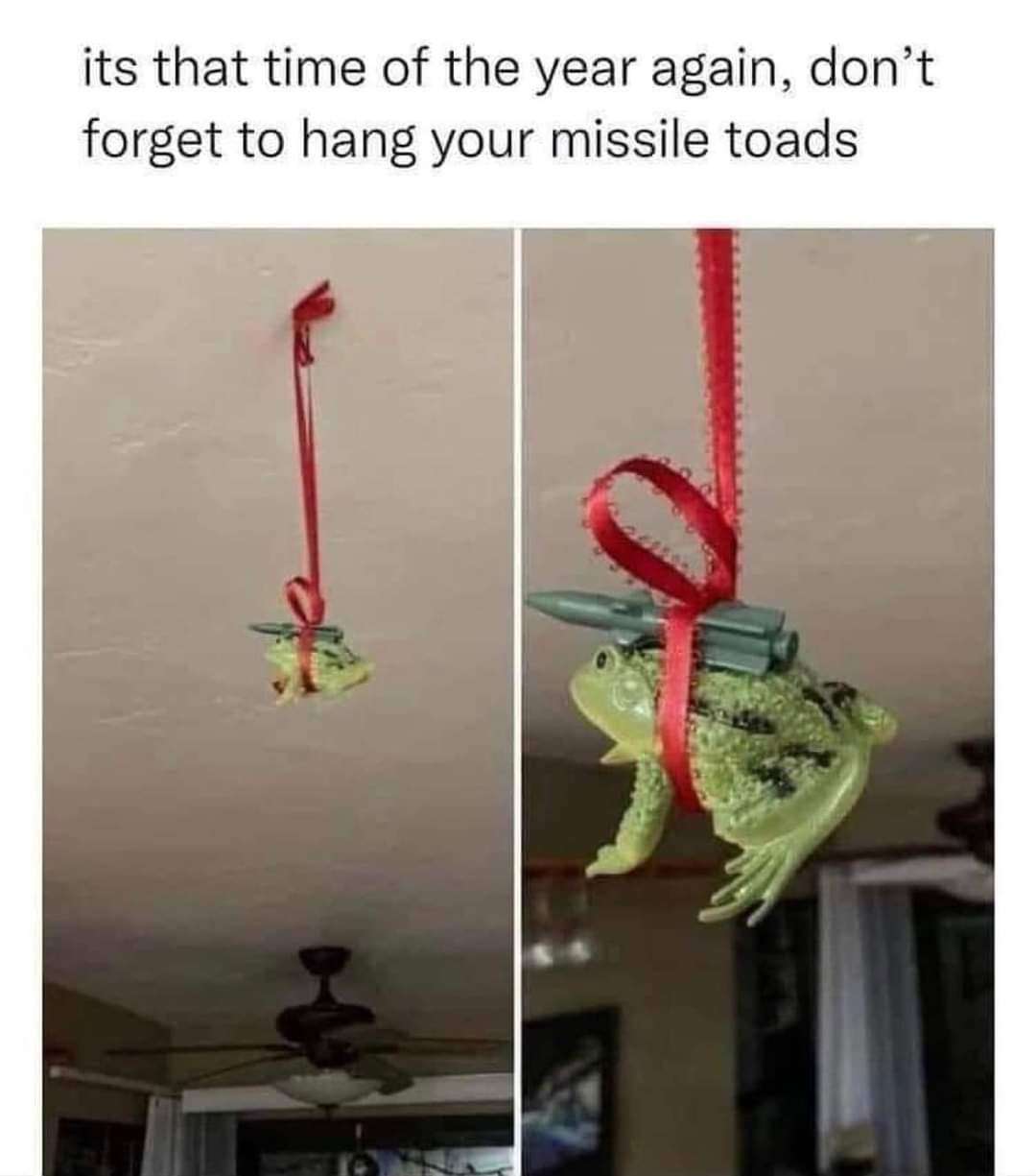 missle toad.jpg
