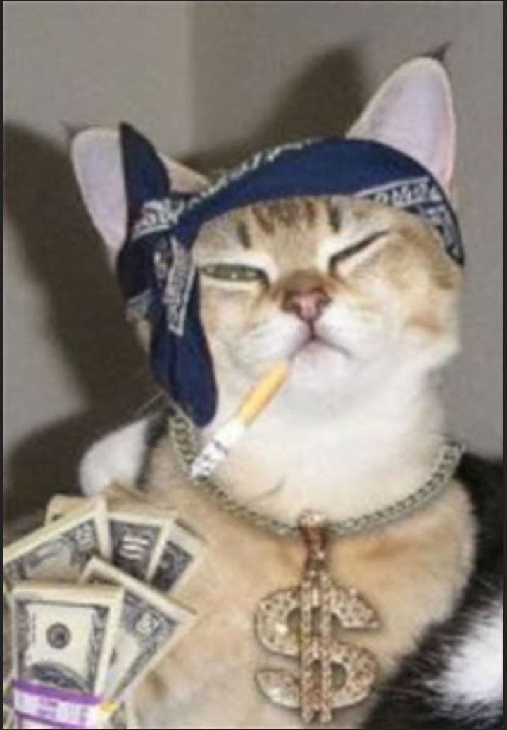Money.JPG