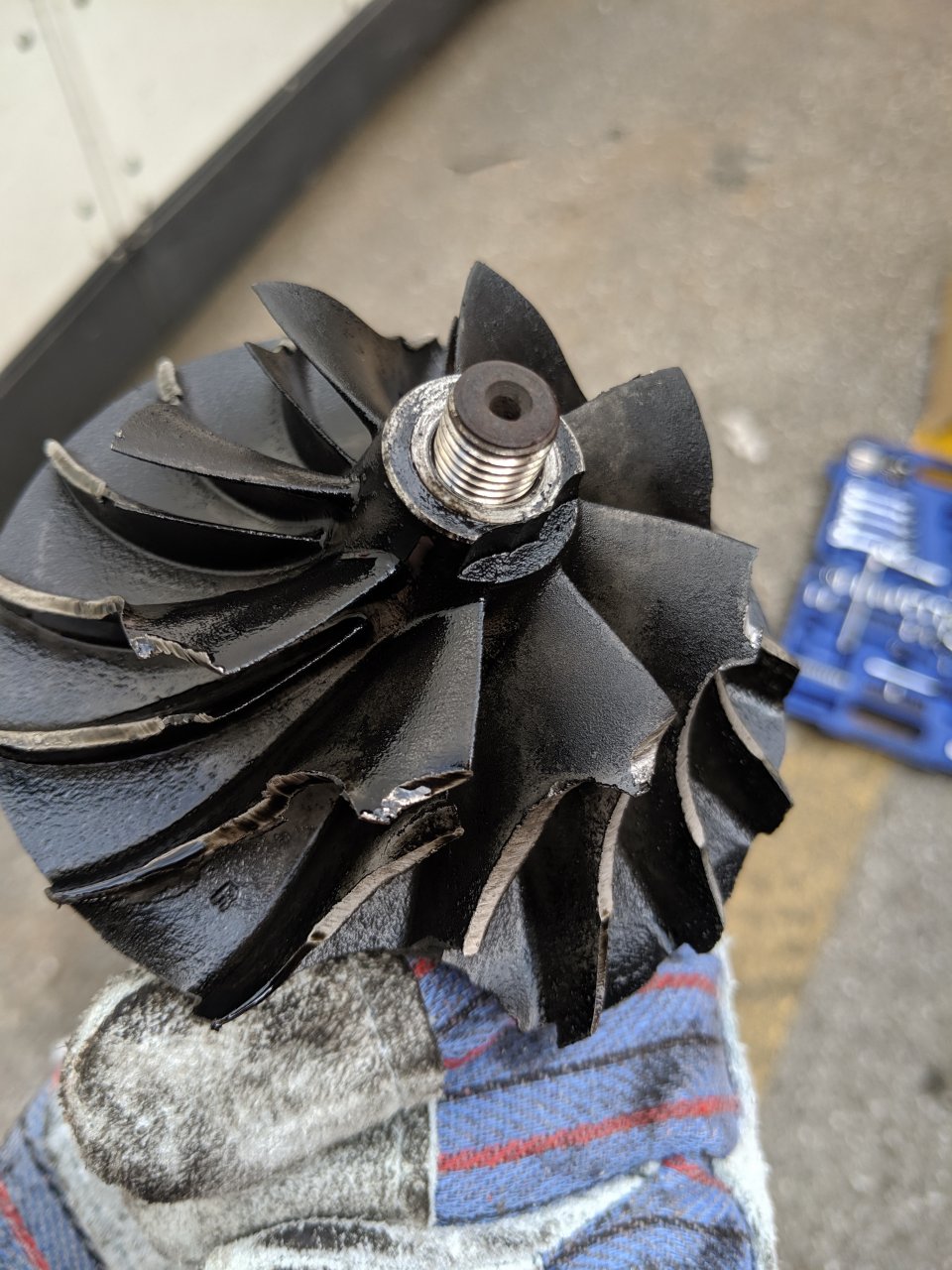 MVIMG_20190610_104929.jpg