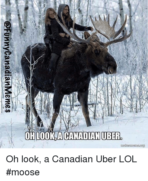 oh-look-a-canadian-uber-lol-moose-27093564.png
