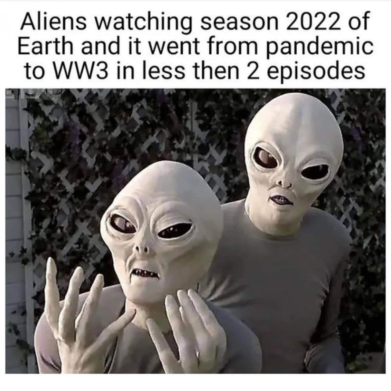original_440450393.jpeg