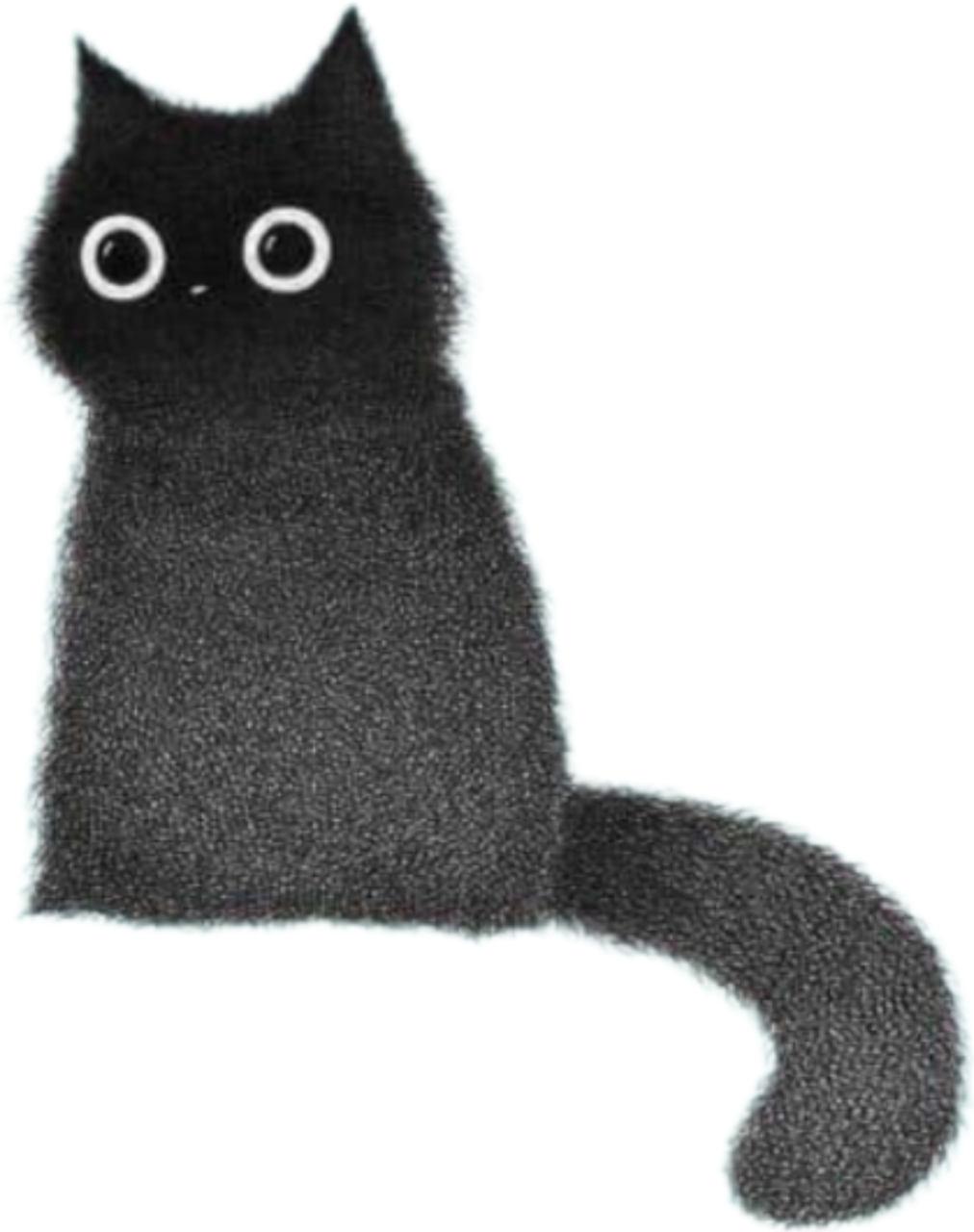 Polish_20240205_181356715.png