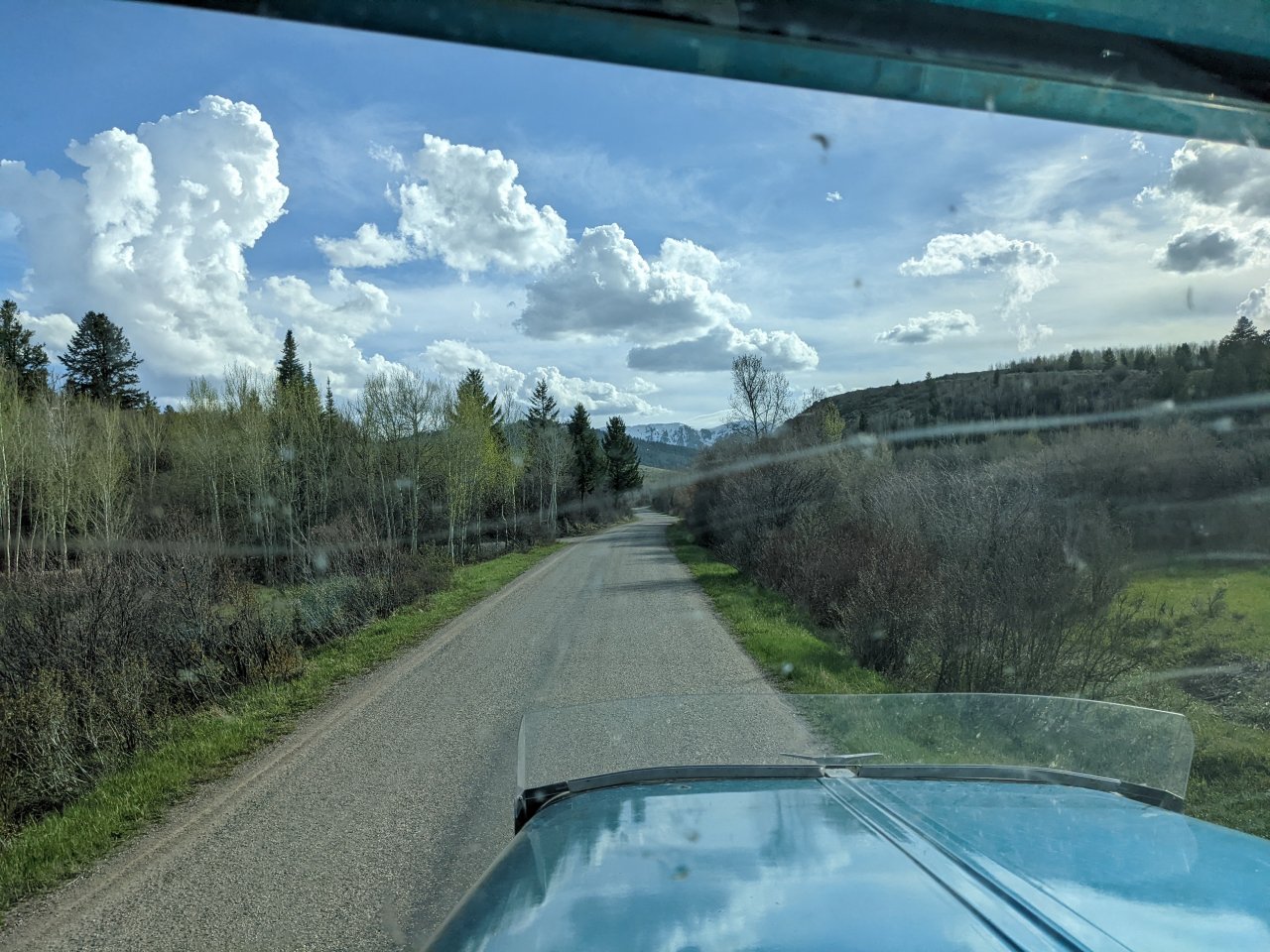 PXL_20220517_000356094.MP.jpg