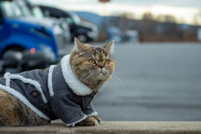 QtfEUuywFaWM_7305_700.jpg