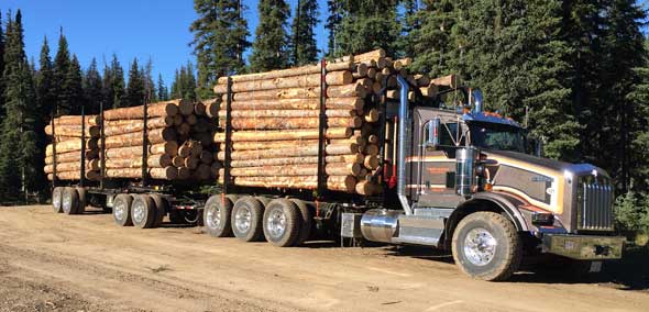 quad-axle-short-logger-590x284-03.jpg