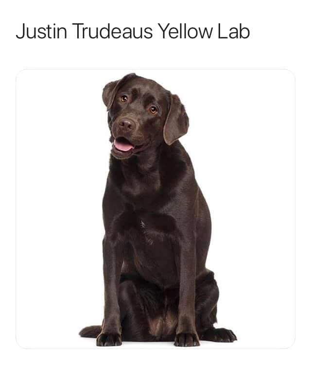 received_2403607186576436.jpeg