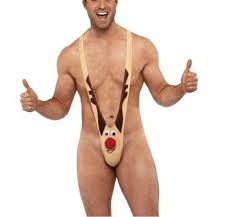 reindeer.jpeg