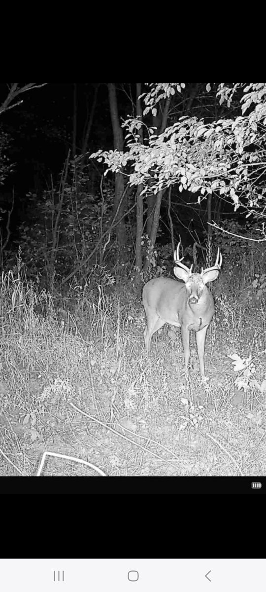 Resized_1729604518192_172280853038861_1729604520981.jpeg