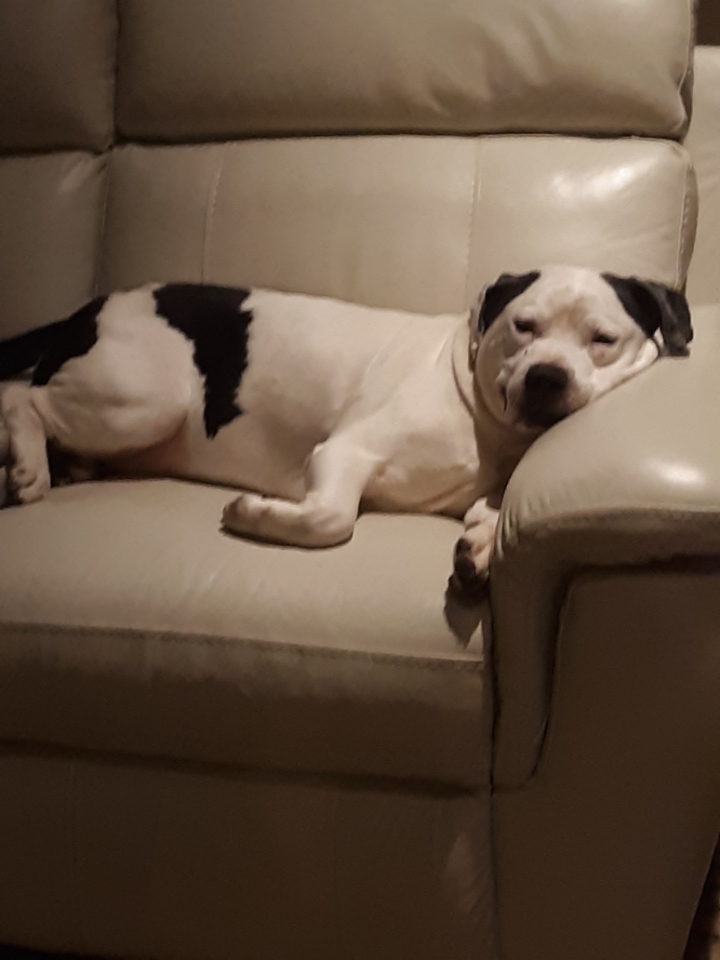 Resized_20200116_212848.jpeg