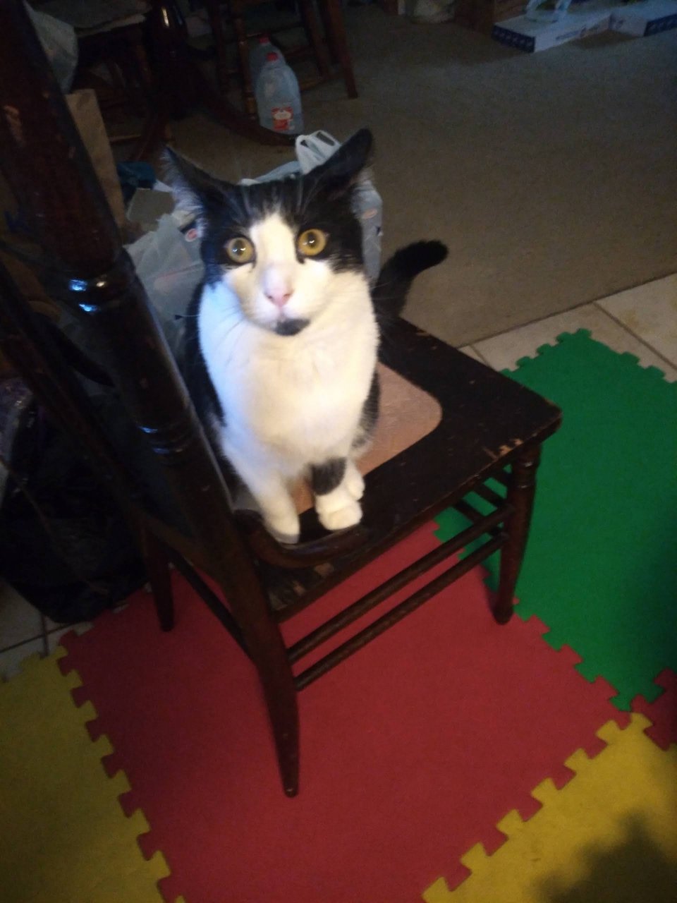 Resized_20220816_193233001.jpeg
