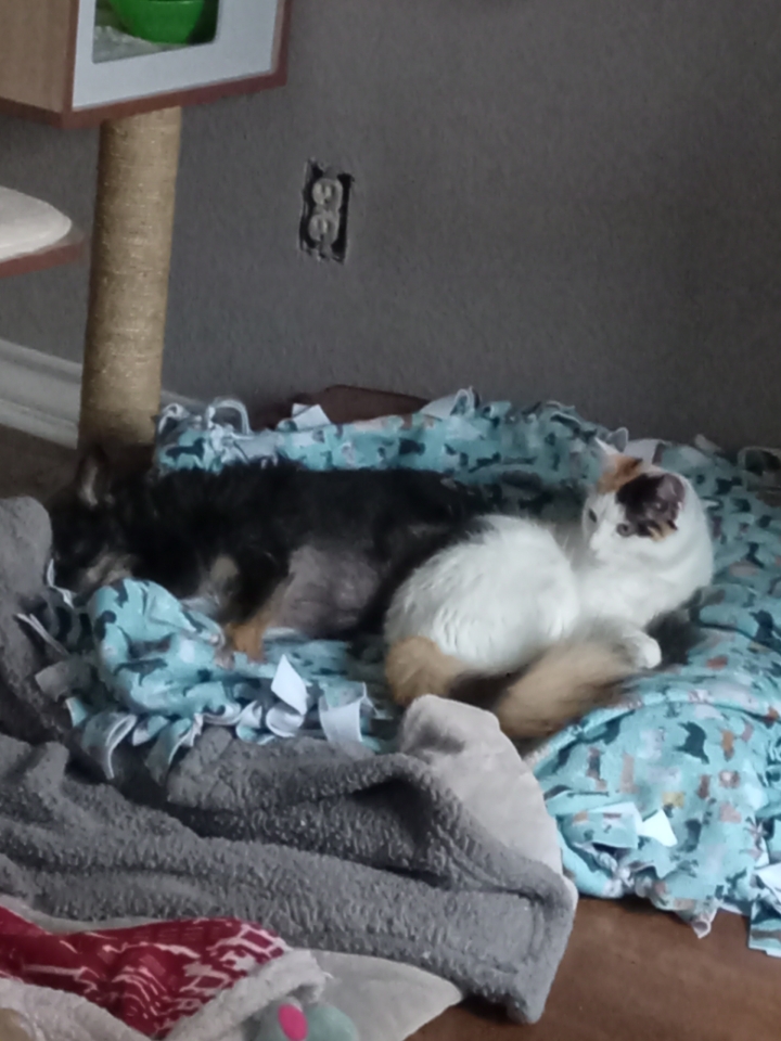 Resized_20240521_131556.jpeg