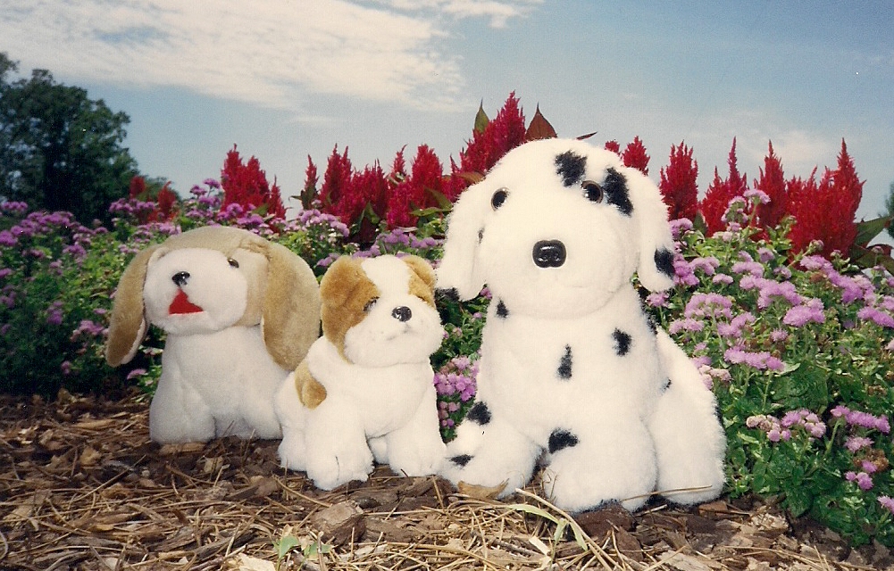 Scan_Pic0002.jpg
