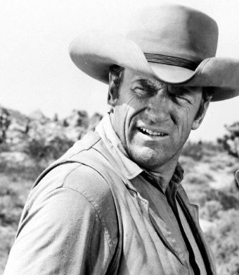 ScreenHunter_375_Jan_27_17_33.jpg