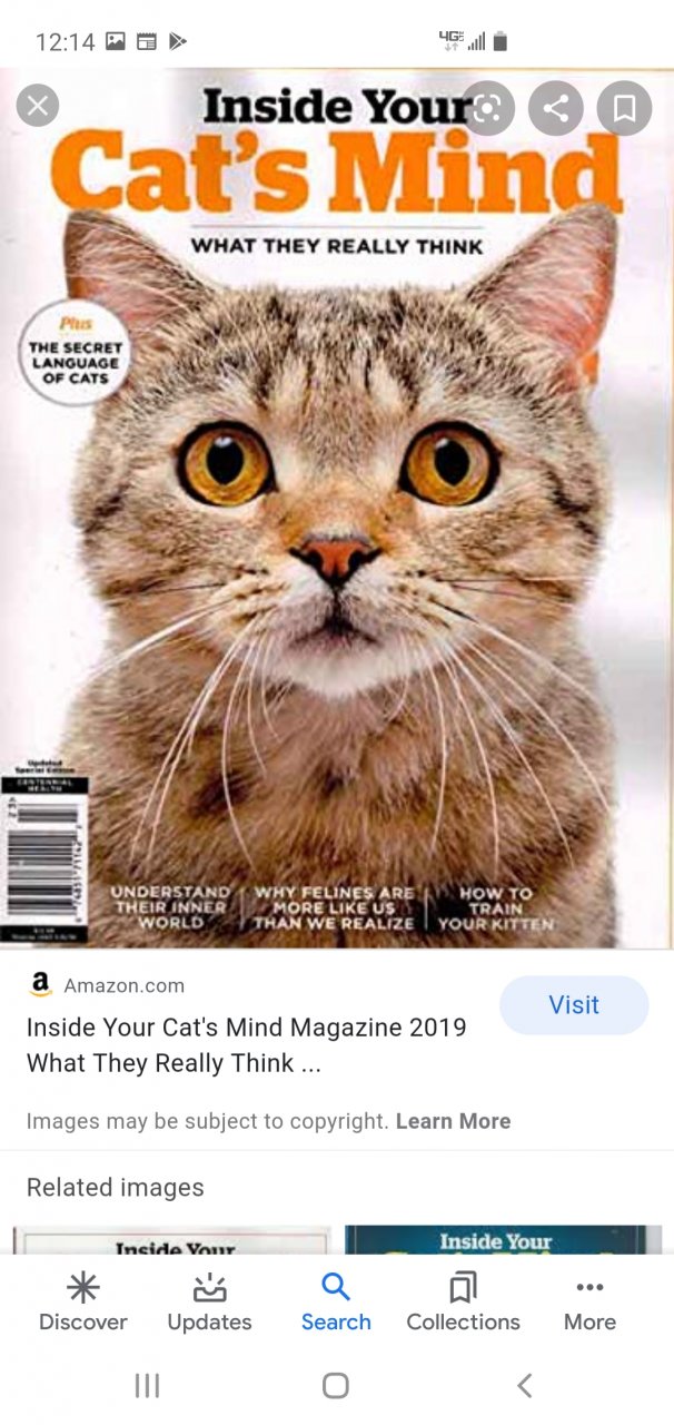 Screenshot_20200726-121455_Google.jpg