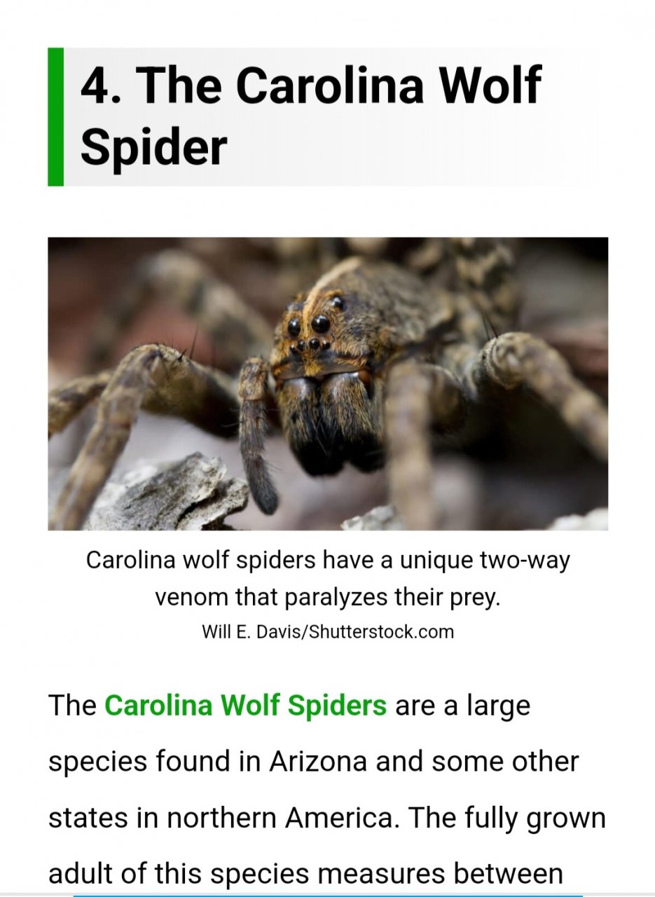 Screenshot_20220901-104313_Chrome.jpg